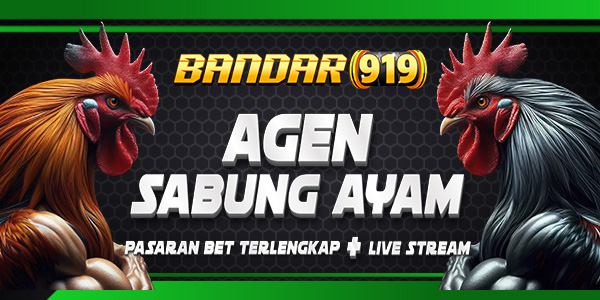 Bandar919 Slot Togel